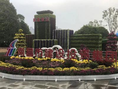 以菊为媒 以花为介 展现服务都会与生长之宗旨——市1xBET集团参展南昌市第三十四届菊花展